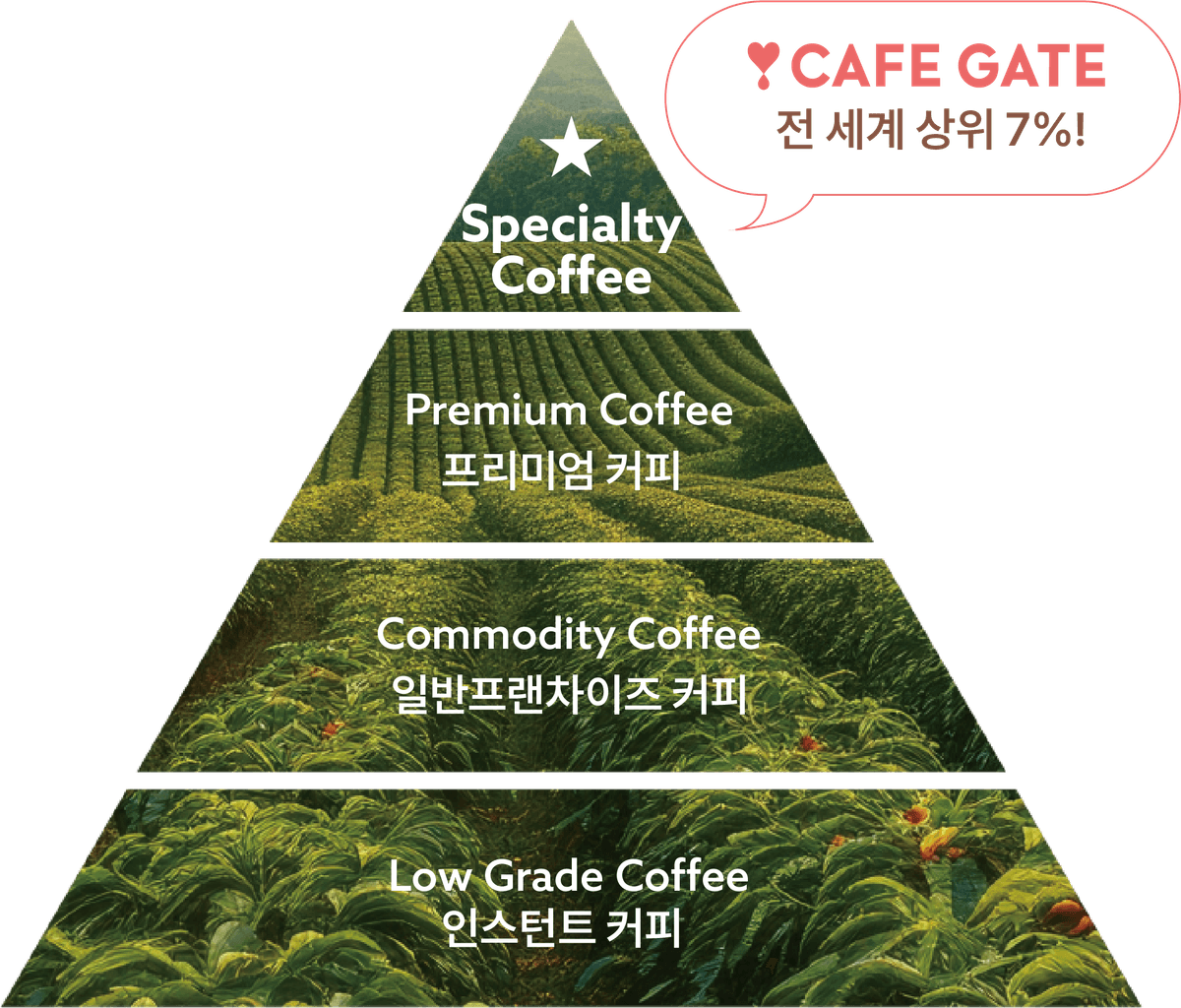 스페셜티 원두